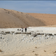 Archaeologists at the Alathar lake site in the western Nefud Desert, Saudi Arabia.